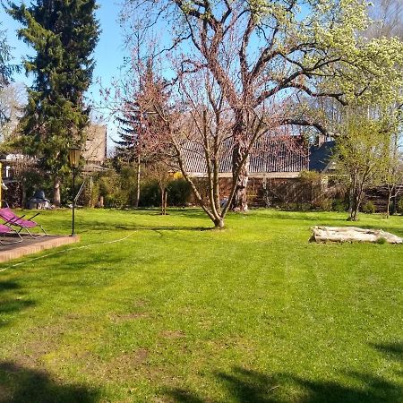 Villa Bleichehof Burg  Esterno foto