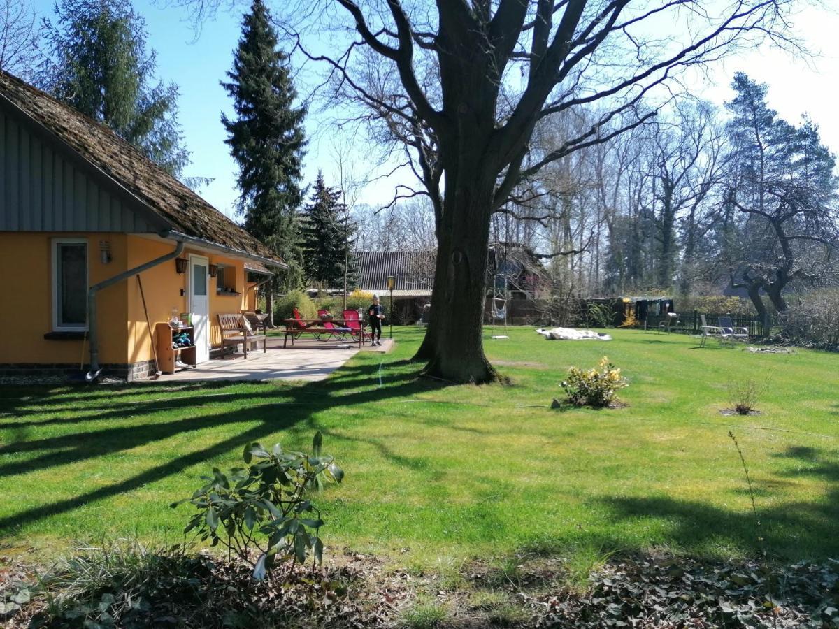 Villa Bleichehof Burg  Esterno foto