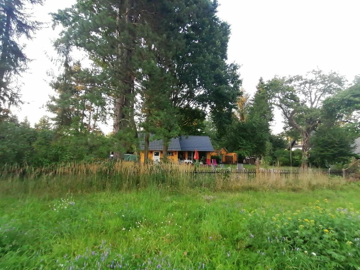 Villa Bleichehof Burg  Esterno foto