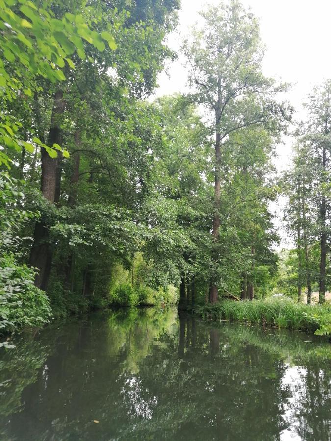 Villa Bleichehof Burg  Esterno foto