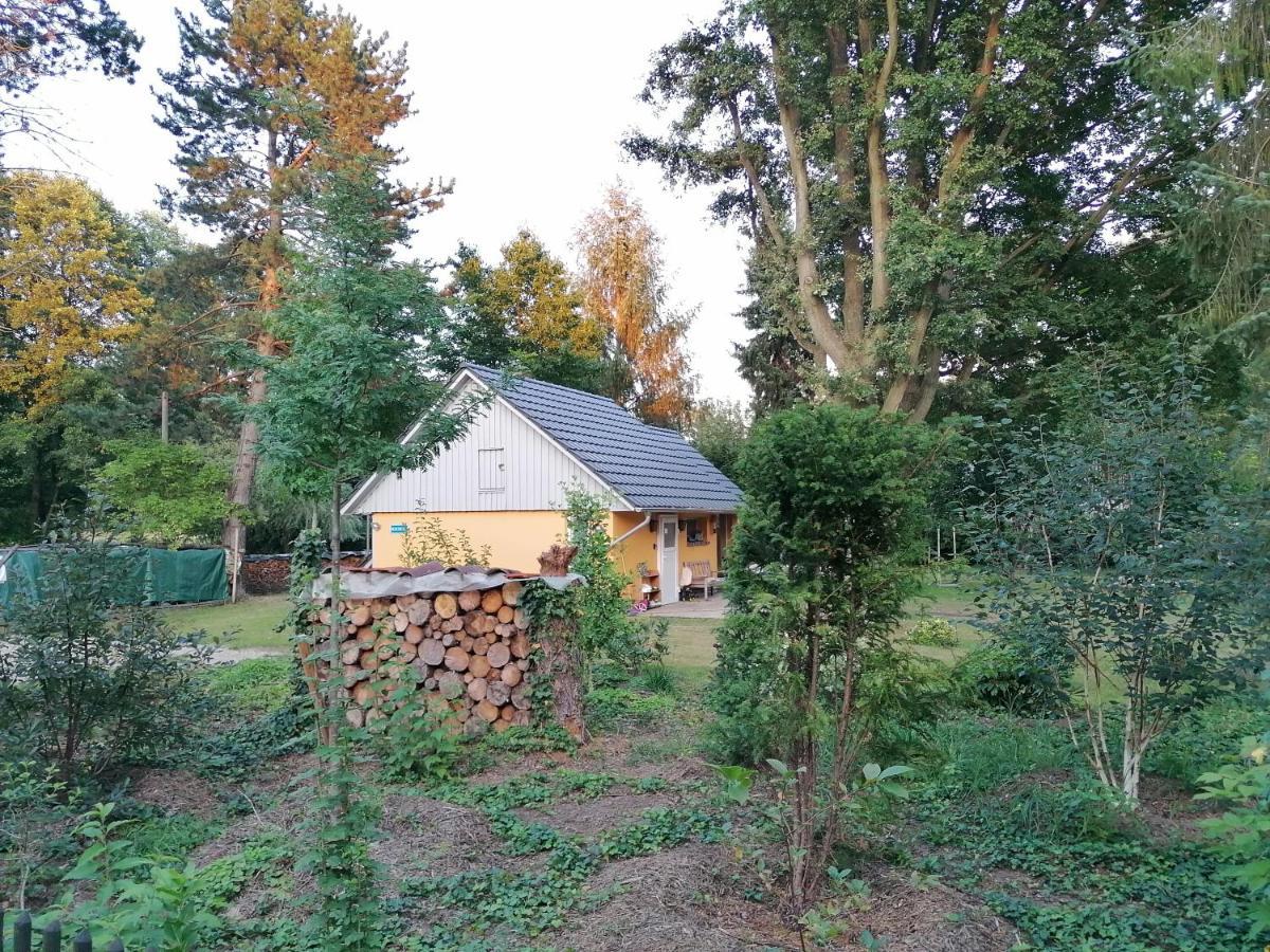 Villa Bleichehof Burg  Esterno foto