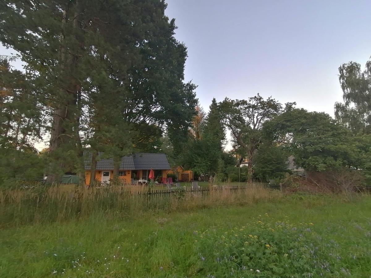 Villa Bleichehof Burg  Esterno foto