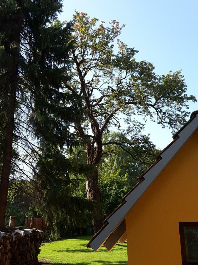 Villa Bleichehof Burg  Esterno foto